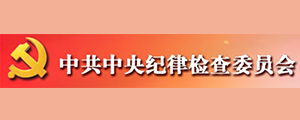 中央纪委监委